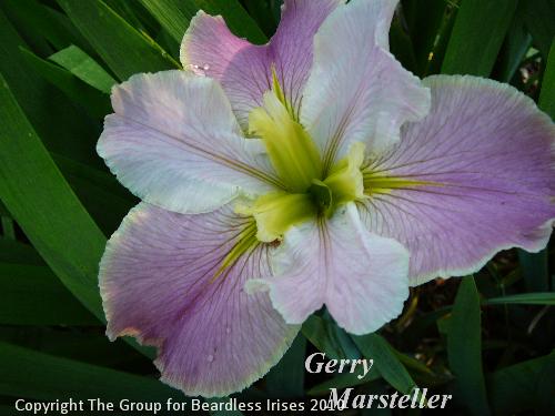 Gary Marsteller 